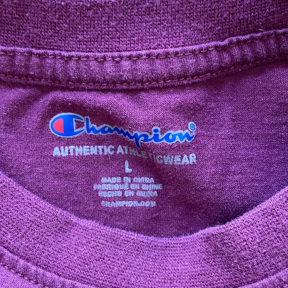 Champion Authentic Athleticwear Tee Shirt